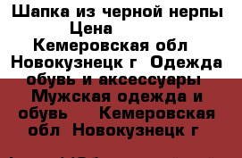 Шапка из черной нерпы › Цена ­ 4 000 - Кемеровская обл., Новокузнецк г. Одежда, обувь и аксессуары » Мужская одежда и обувь   . Кемеровская обл.,Новокузнецк г.